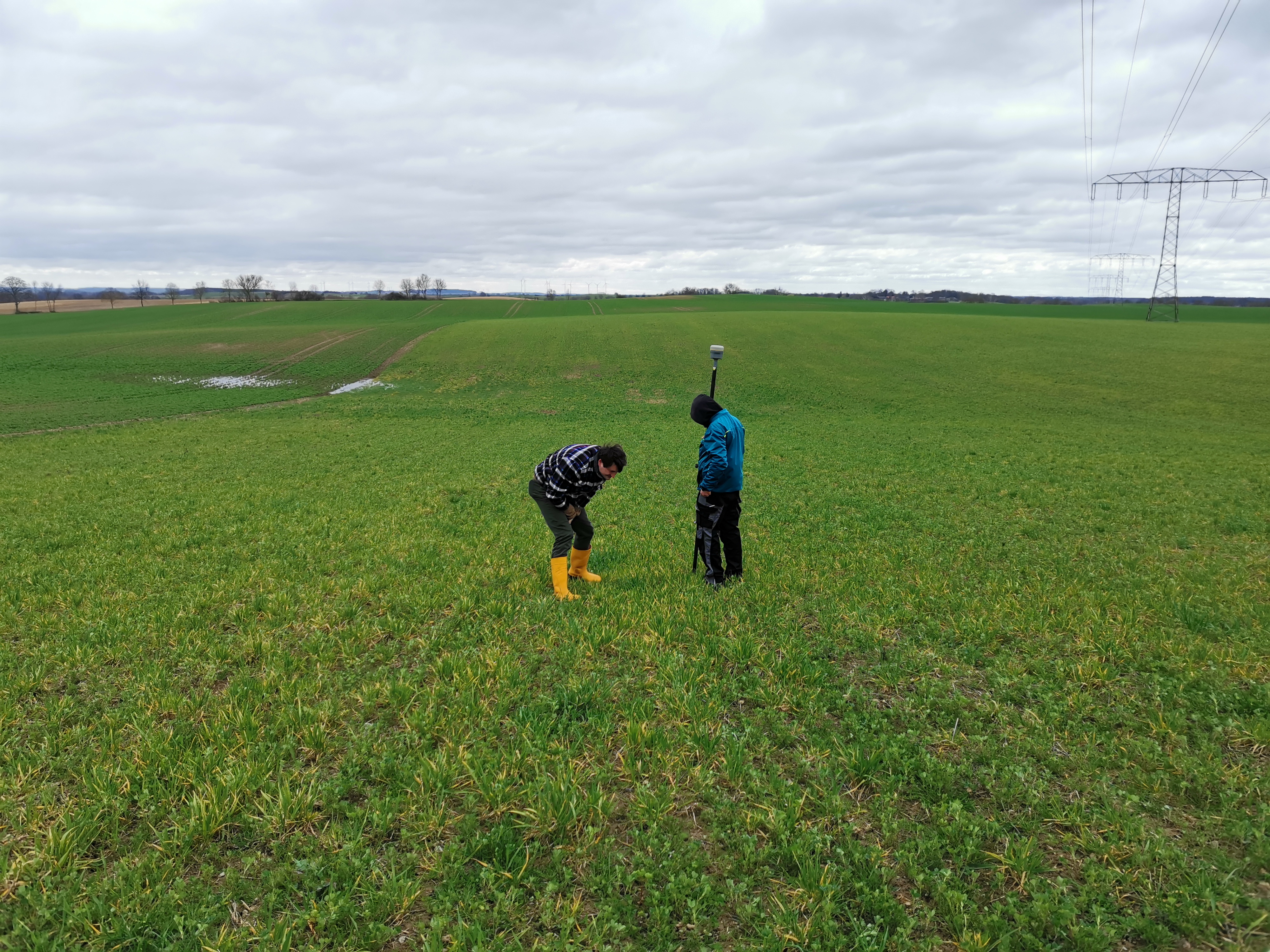 ZALF-Mitarbeiterinnen auf den Feldern der Betriebe zur Bonitur.