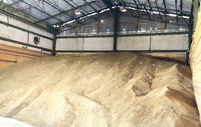Silo mit Gerste