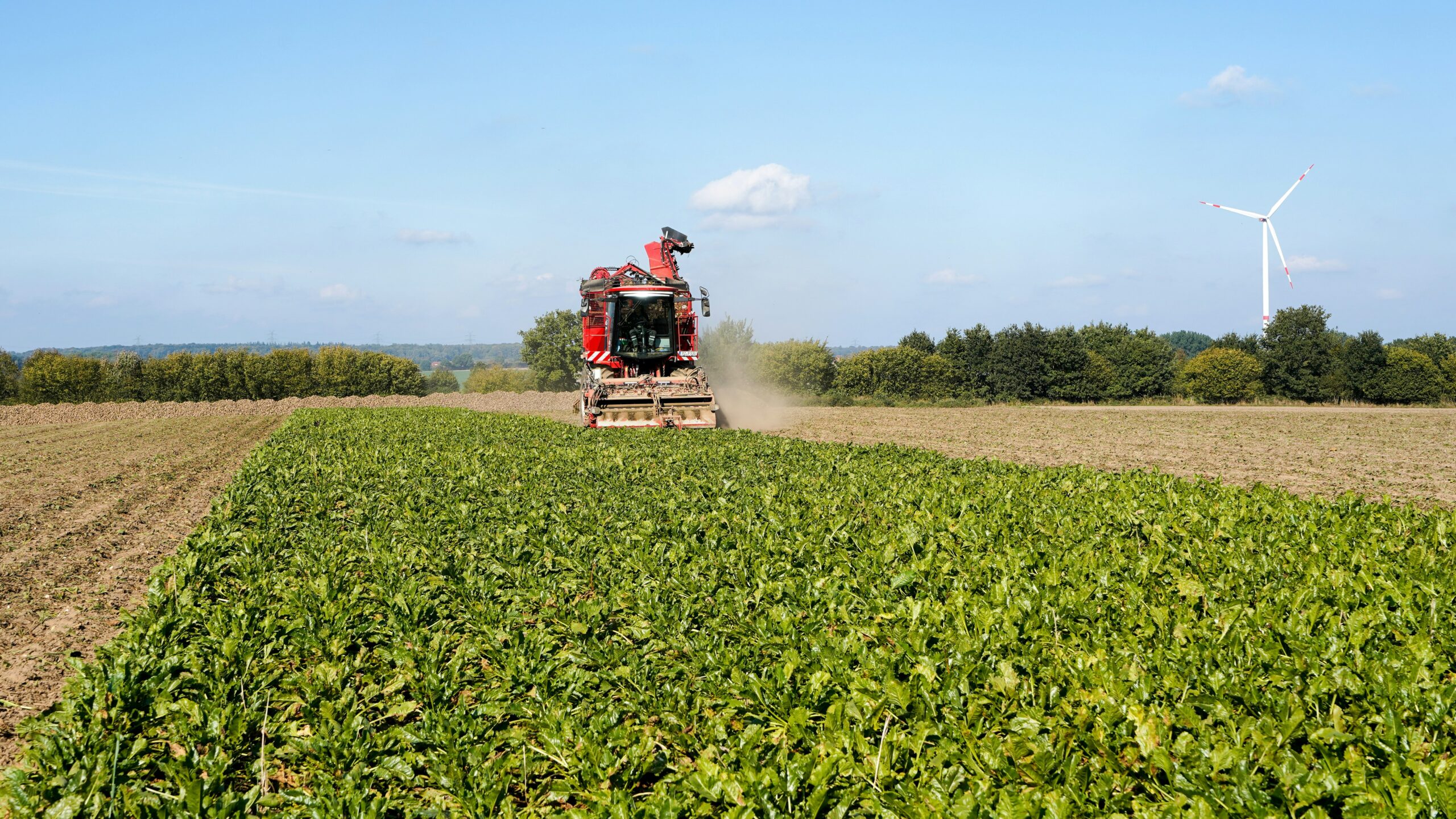 Erntemaschine auf dem Feld